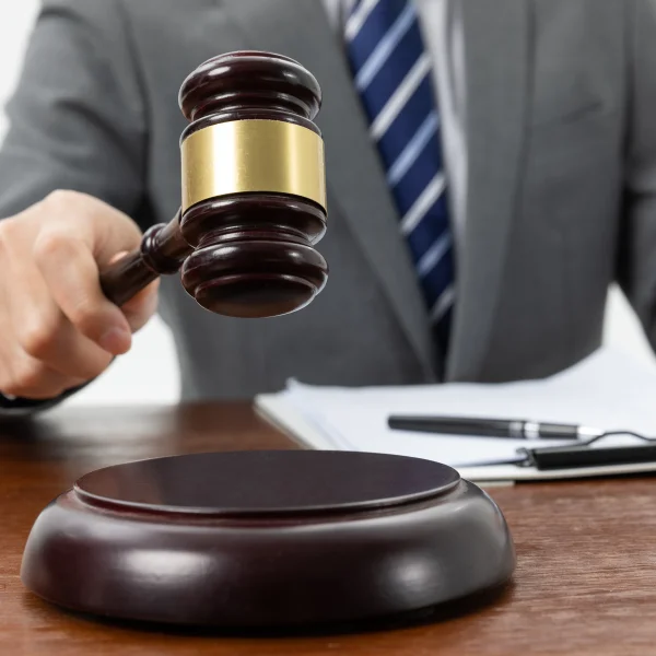 A First-Timer's Guide to Auction Bidding: What to Expect